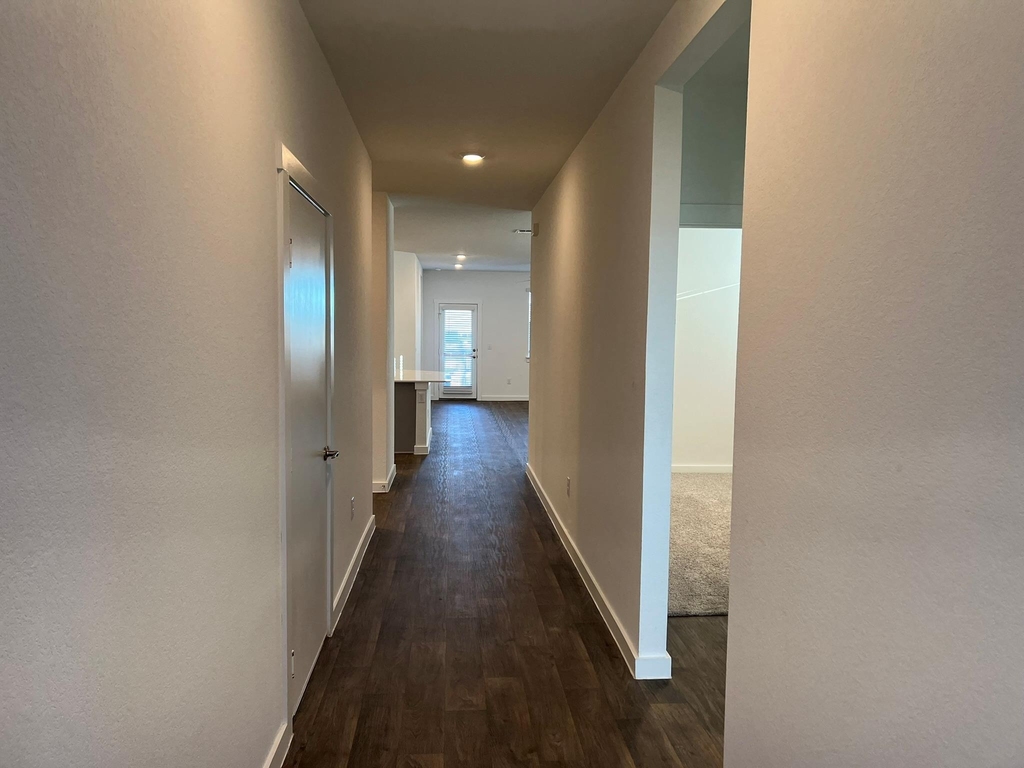 14213 Cantarra Dr - Photo 3