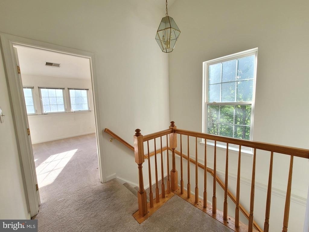 13115 Rosebay Drive - Photo 11