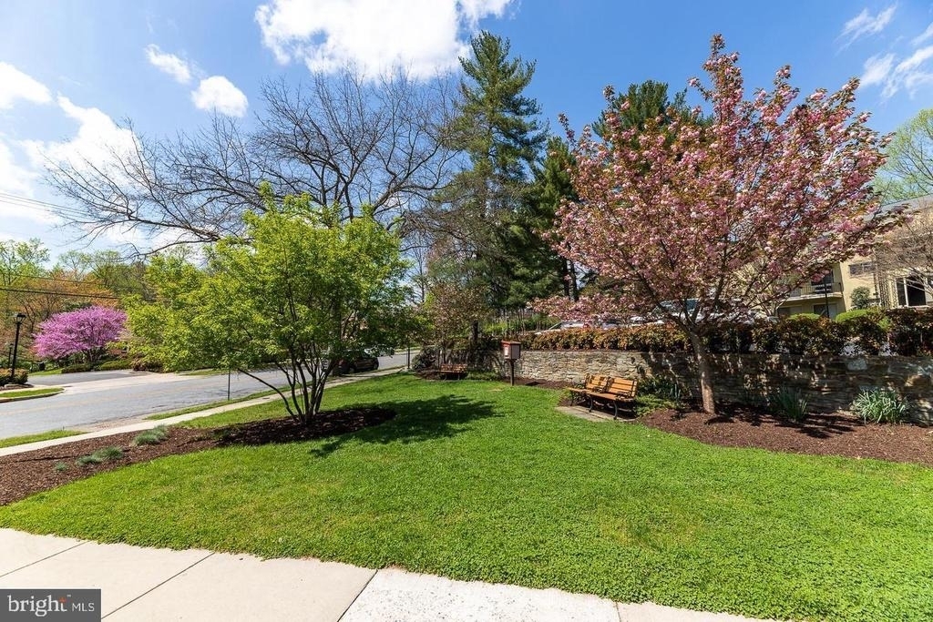 10648 Montrose Avenue - Photo 12