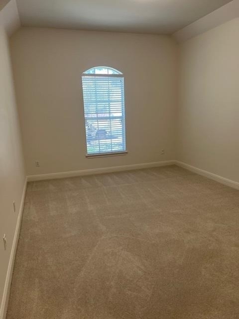 10103 Brightling Ln - Photo 12