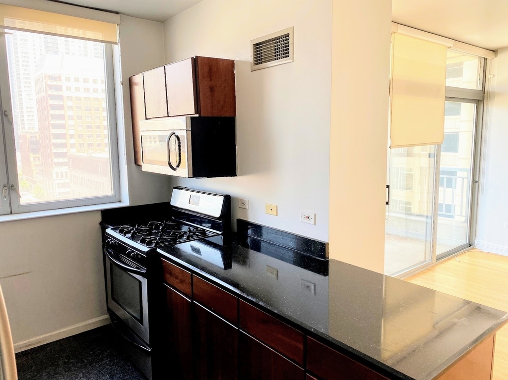 600 N Dearborn Street - Photo 6