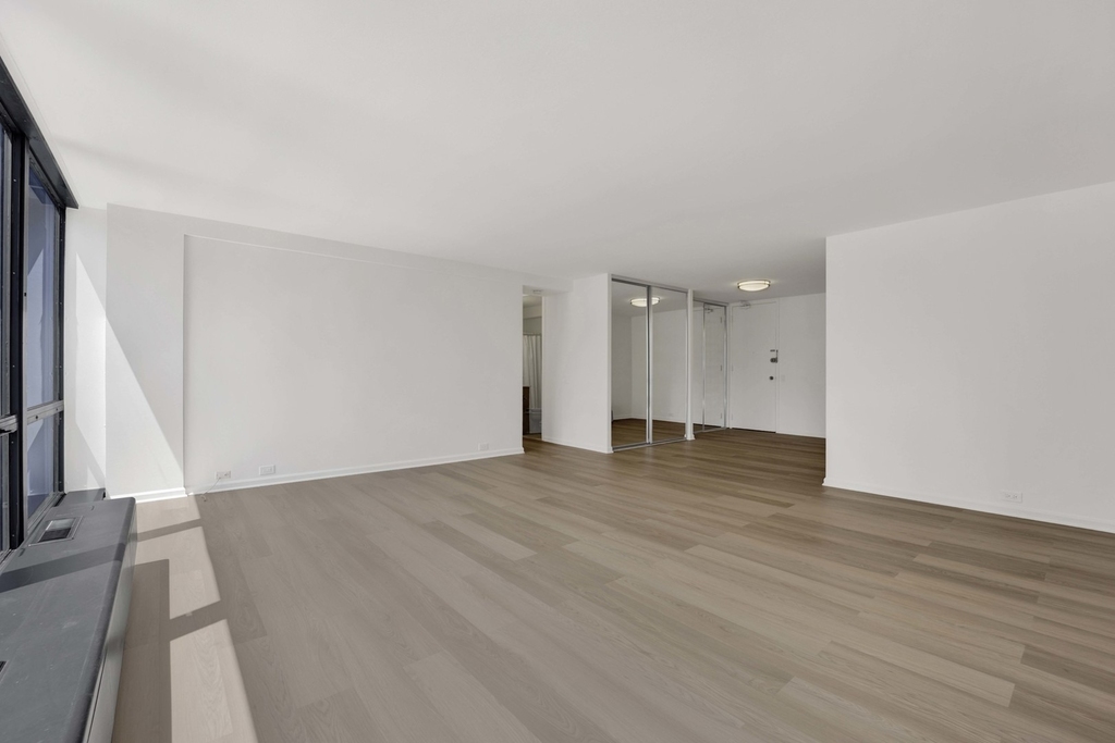 900 N Lake Shore Drive - Photo 10