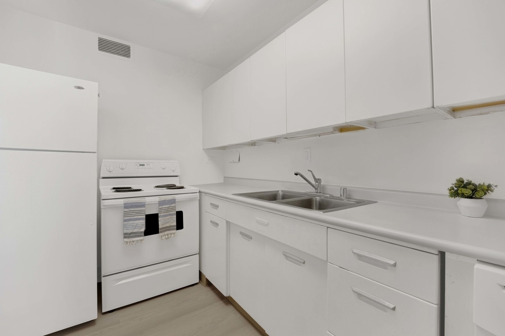 900 N Lake Shore Drive - Photo 12