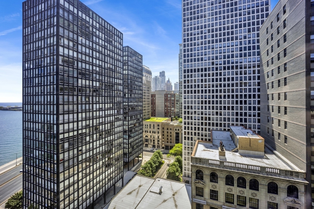 900 N Lake Shore Drive - Photo 8
