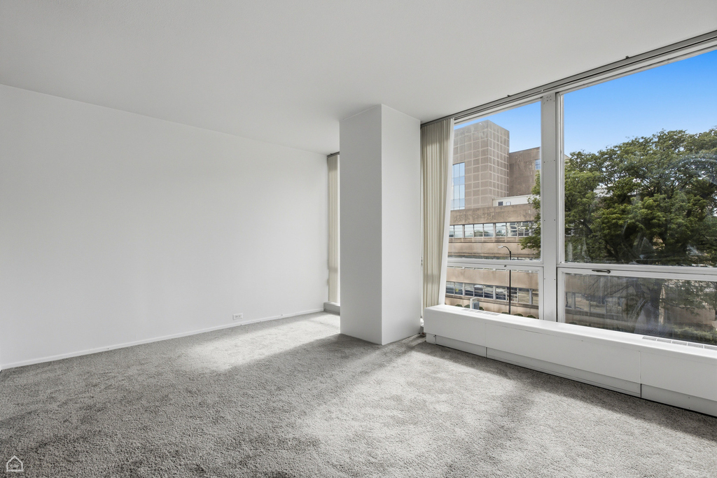 340 W Diversey Parkway - Photo 10