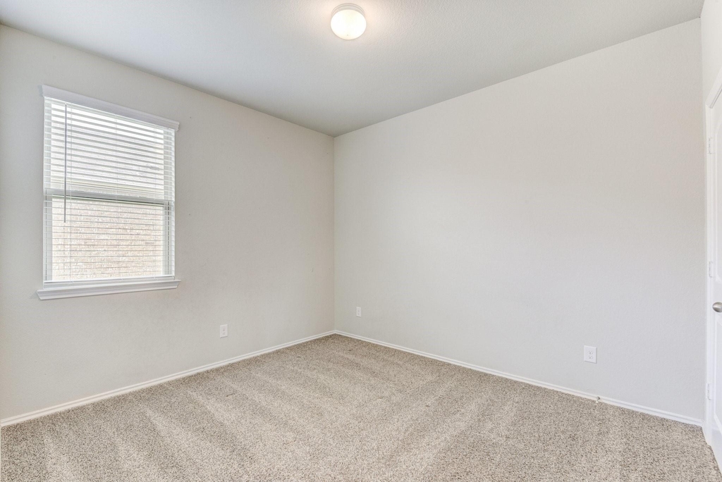 20923 Corisande Street - Photo 15