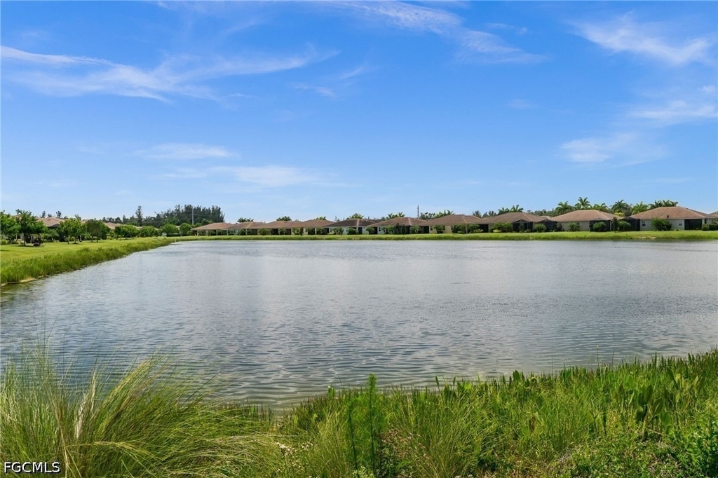 10288 Bonavie Cove Drive - Photo 28
