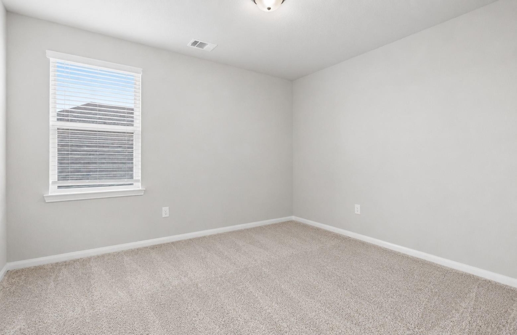 17542 Rosette Grass Drive - Photo 43