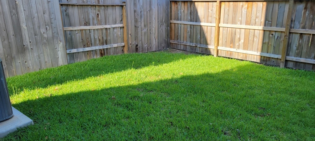 579 Dry Fork Lane - Photo 23