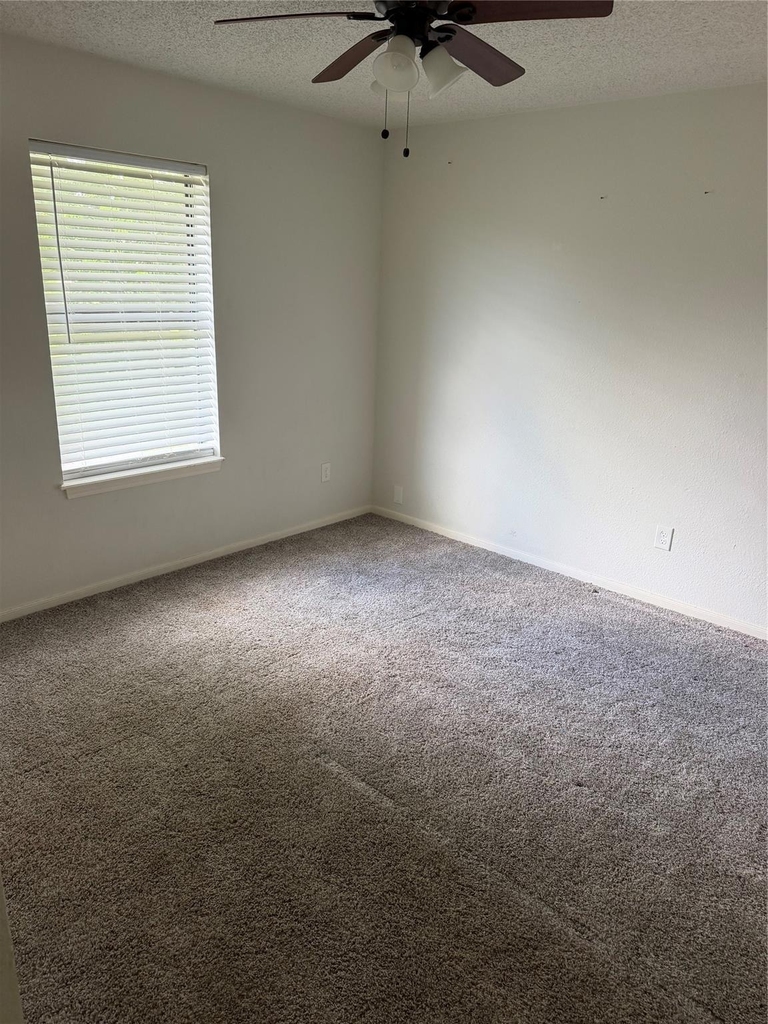 151 Country Oaks Street - Photo 13