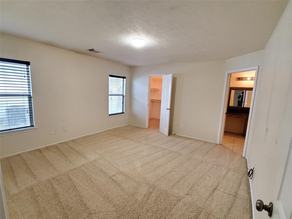 18203 Afton Hollow Lane - Photo 20