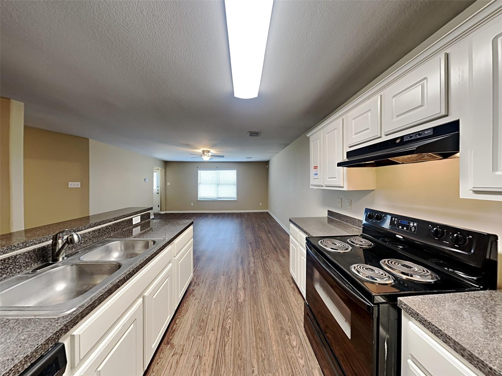 4407 Nueces River Loop - Photo 1