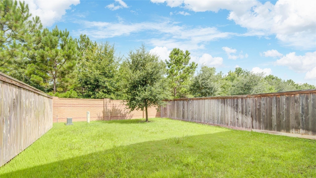16207 Northern Cardinal Lane - Photo 34
