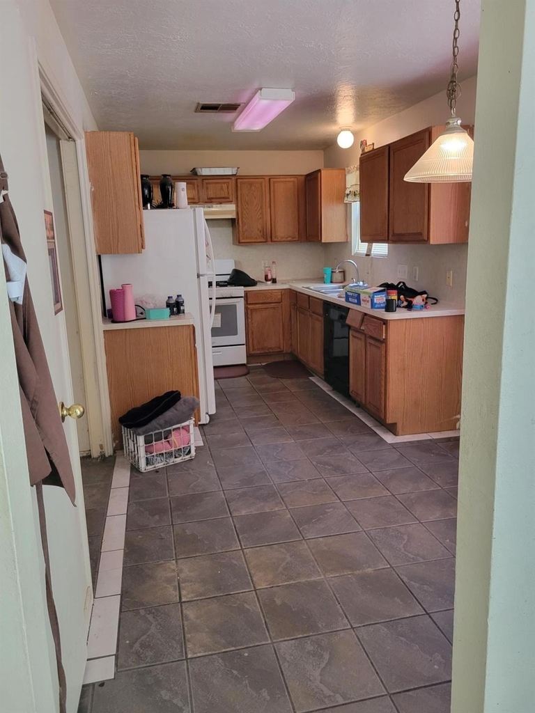 8819 Roaring Point Drive - Photo 2
