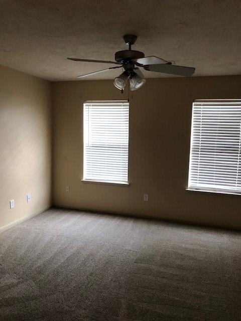 32107 Anne Lane - Photo 7
