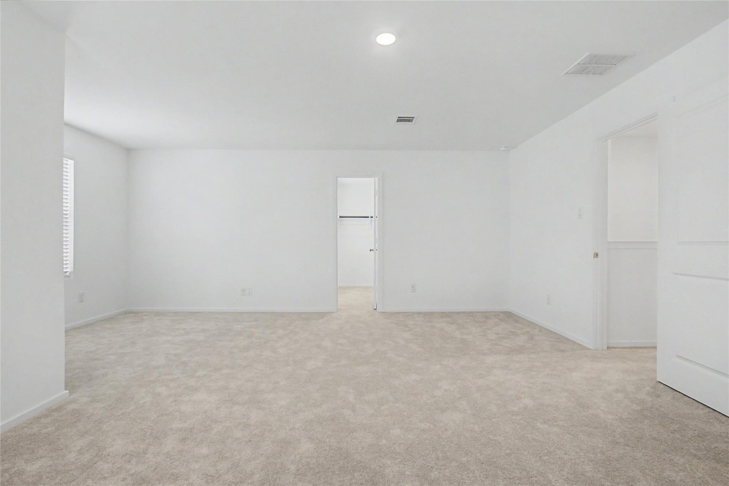 6323 Geyser Starish Drive - Photo 18