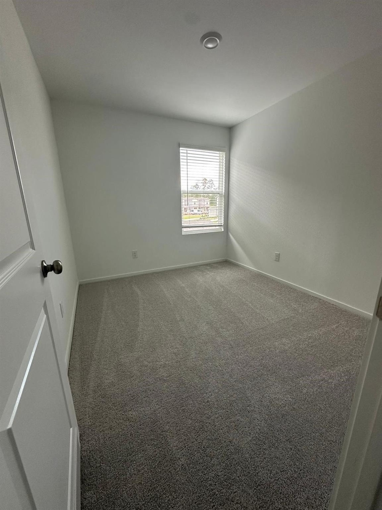 939 Pertuso Lane Lane - Photo 16
