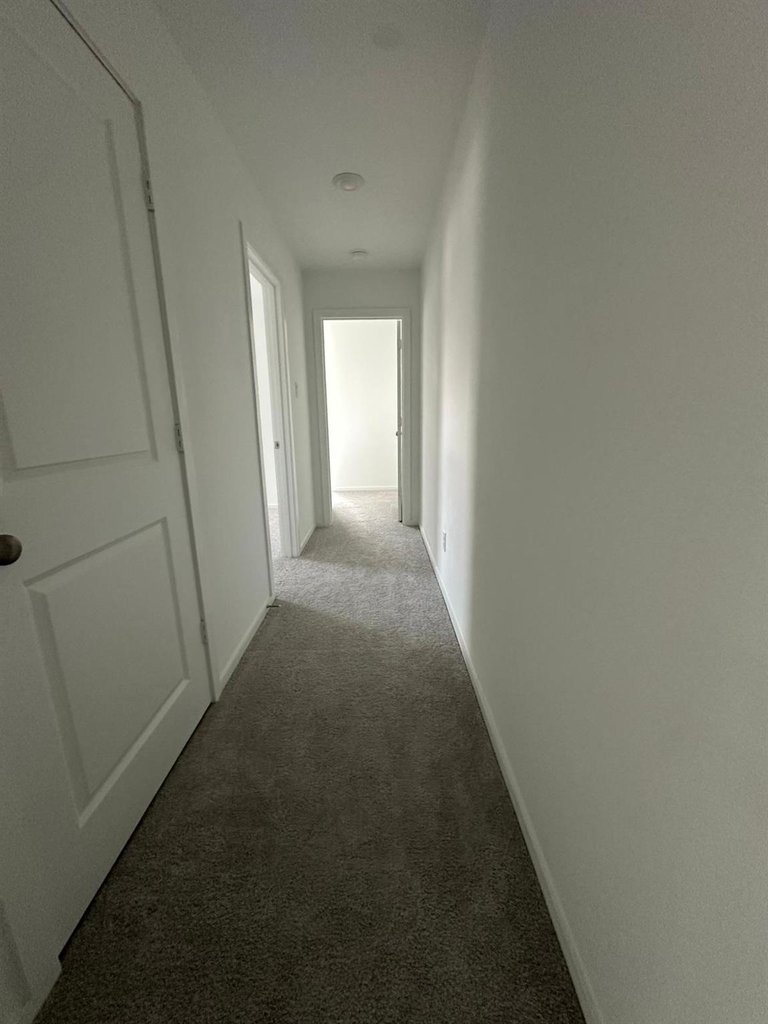 939 Pertuso Lane Lane - Photo 9