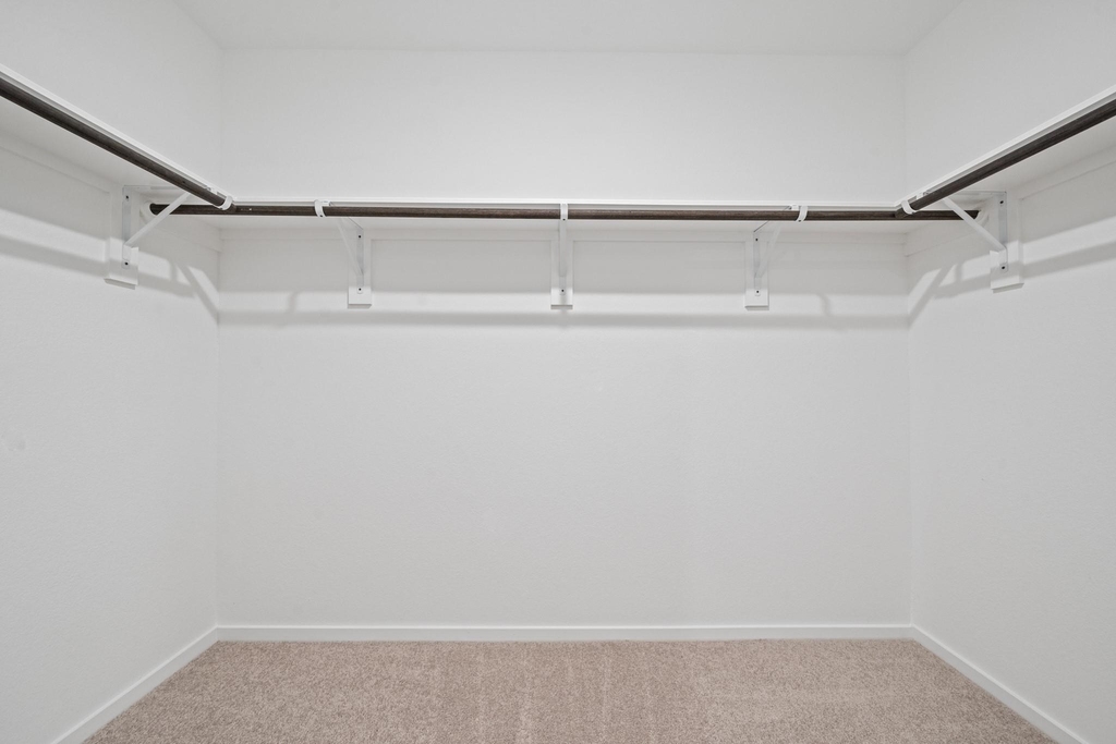 26811 Vanilla Pearls Lane - Photo 9