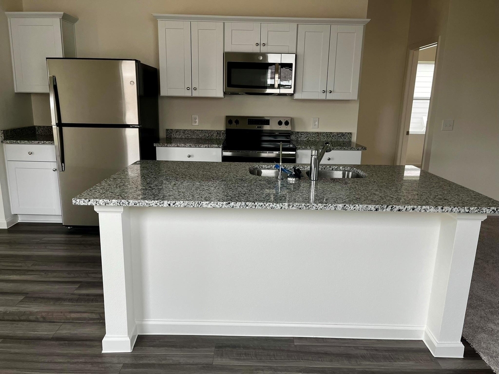 31266 Williams Landing St - Photo 3