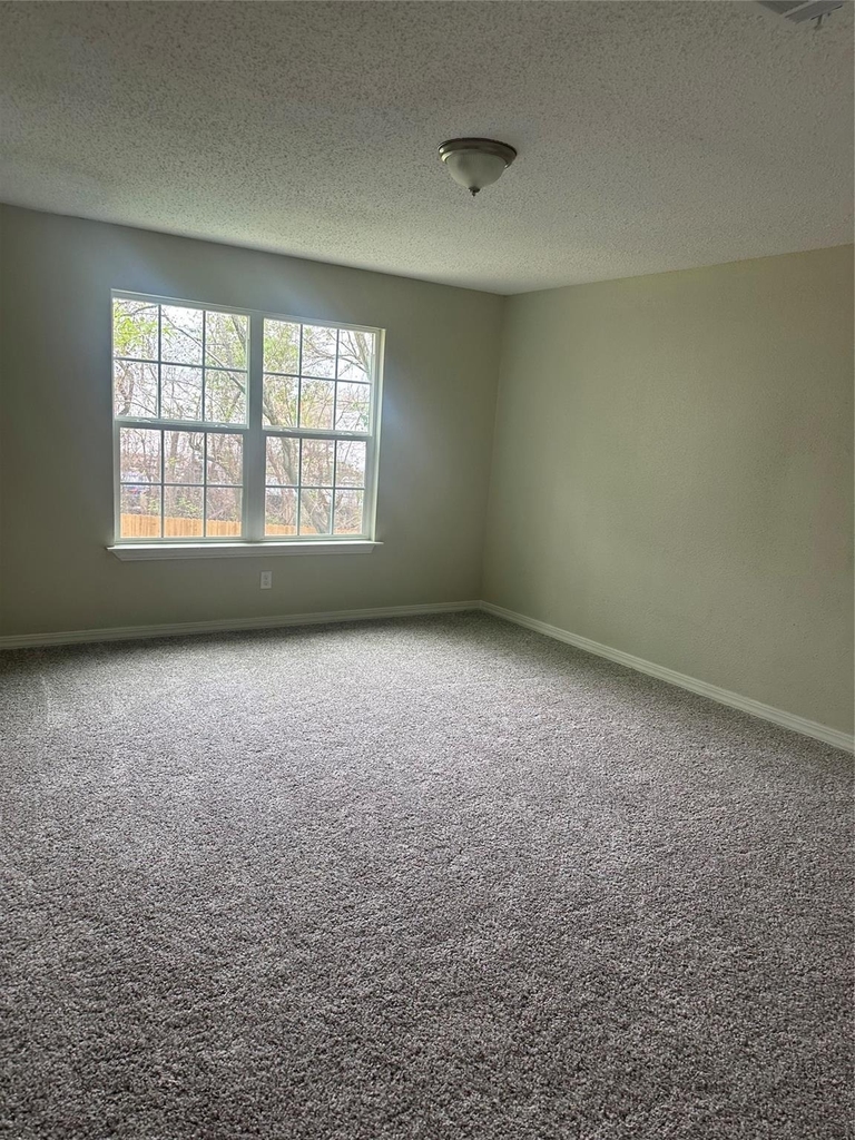 13626 Sunswept Way - Photo 14