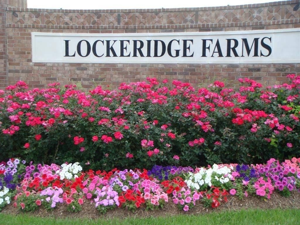 2822 Lockeridge Cove Drive - Photo 13