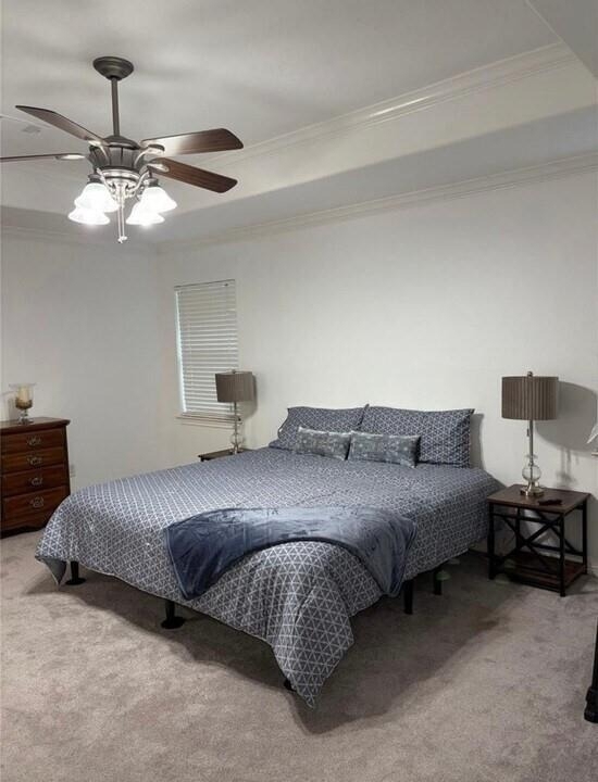 3818 Treasure Island Drive - Photo 10