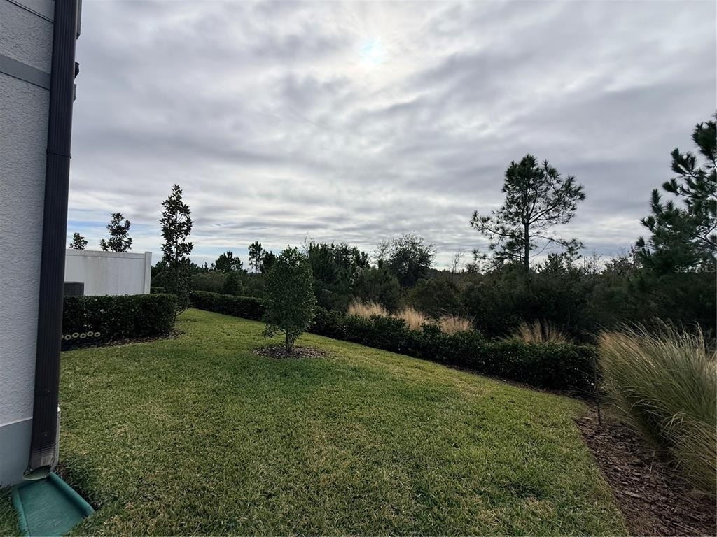 5443 Elmview Crossing - Photo 36
