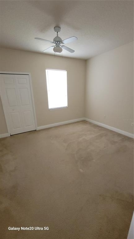 430 Southern Pecan Circle - Photo 8