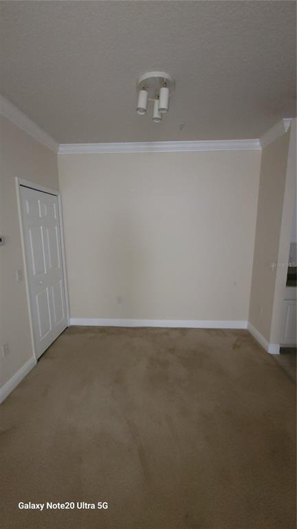 430 Southern Pecan Circle - Photo 7