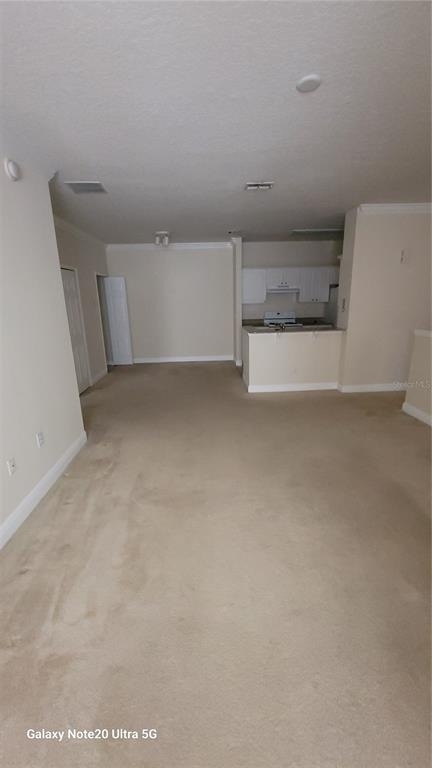 430 Southern Pecan Circle - Photo 4