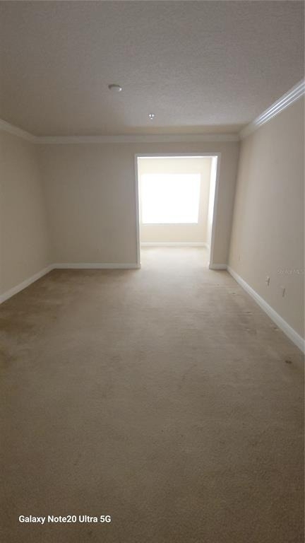 430 Southern Pecan Circle - Photo 2