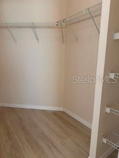 3707 Conroy Road - Photo 7