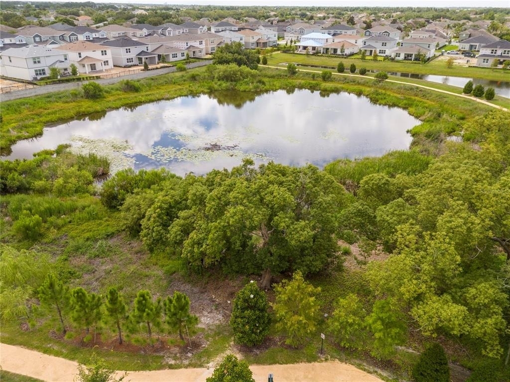 450 Winter Grove Boulevard - Photo 14