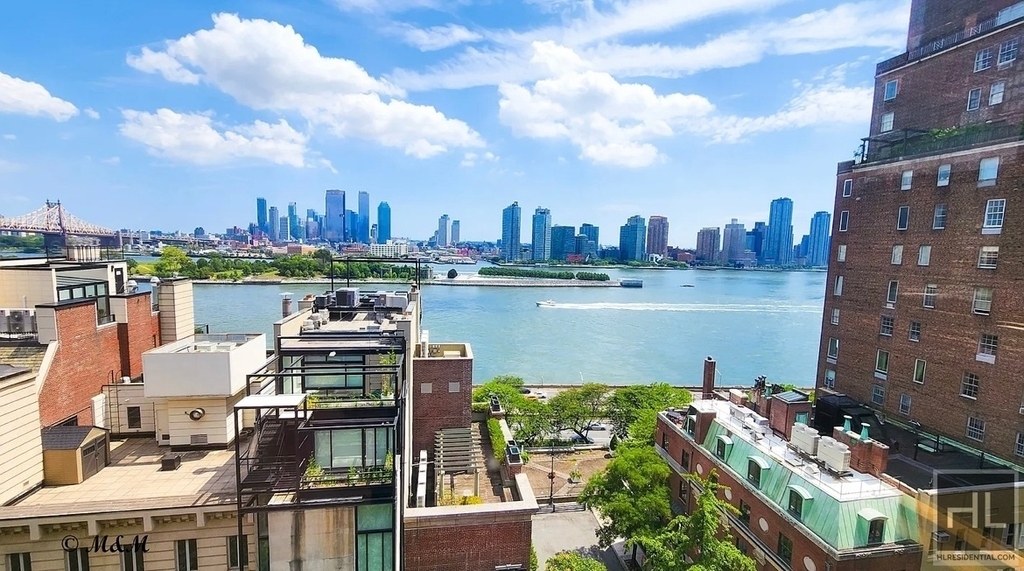Beekman Place - Photo 4