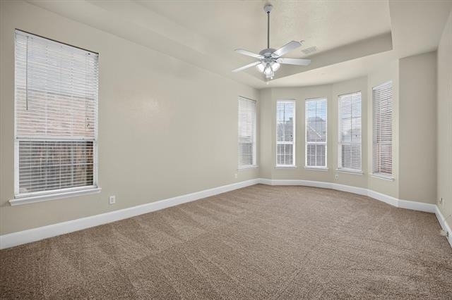 1145 Pedernales Trail - Photo 17