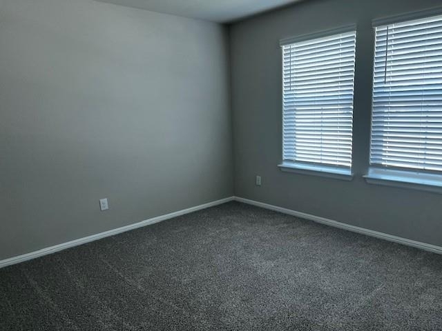 333 Wildrose Circle - Photo 10