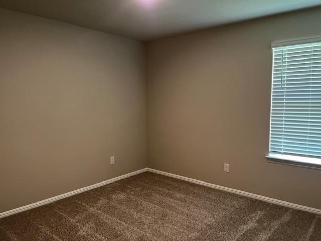333 Wildrose Circle - Photo 8