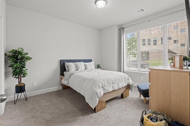 2248 Palomino Street - Photo 13