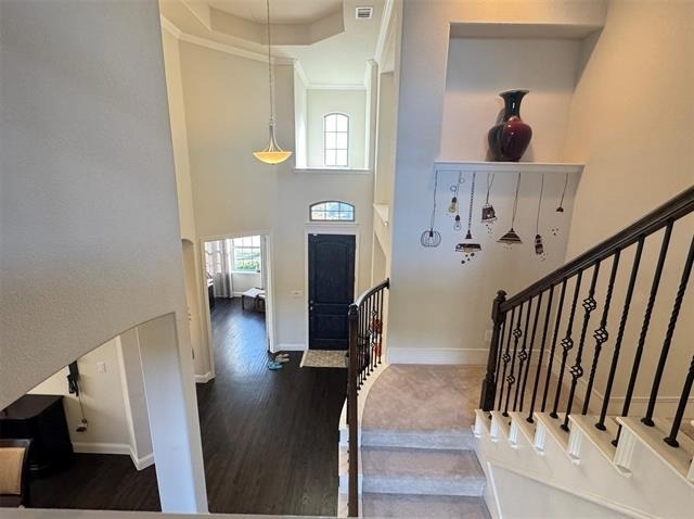 2405 Bigleaf Court - Photo 16