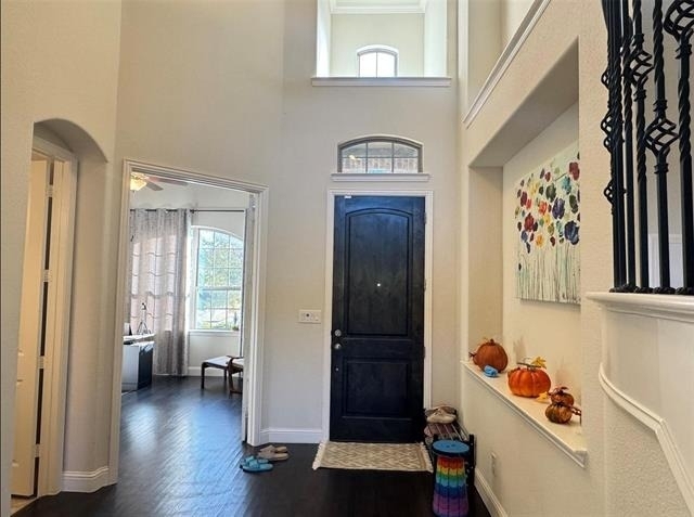 2405 Bigleaf Court - Photo 12
