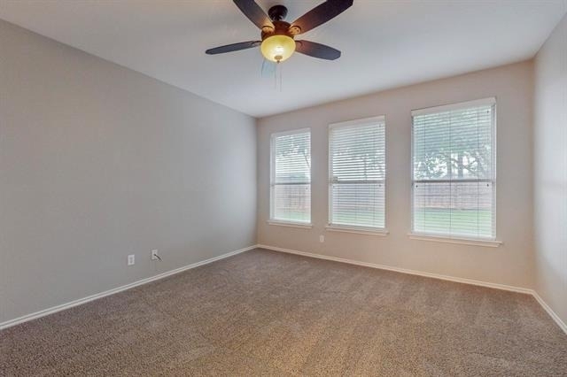 4134 Petersburg Drive - Photo 11