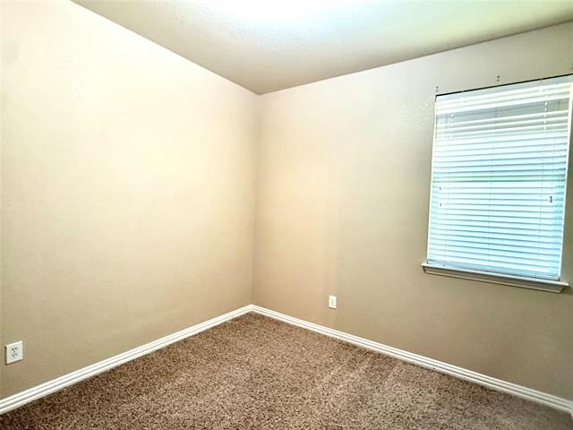 10008 Coolidge Drive - Photo 17