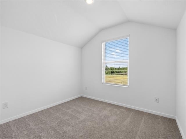 1031 Bishop Creek Drive - Photo 21
