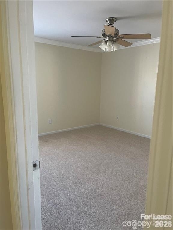 11917 Stratfield Place Circle - Photo 10