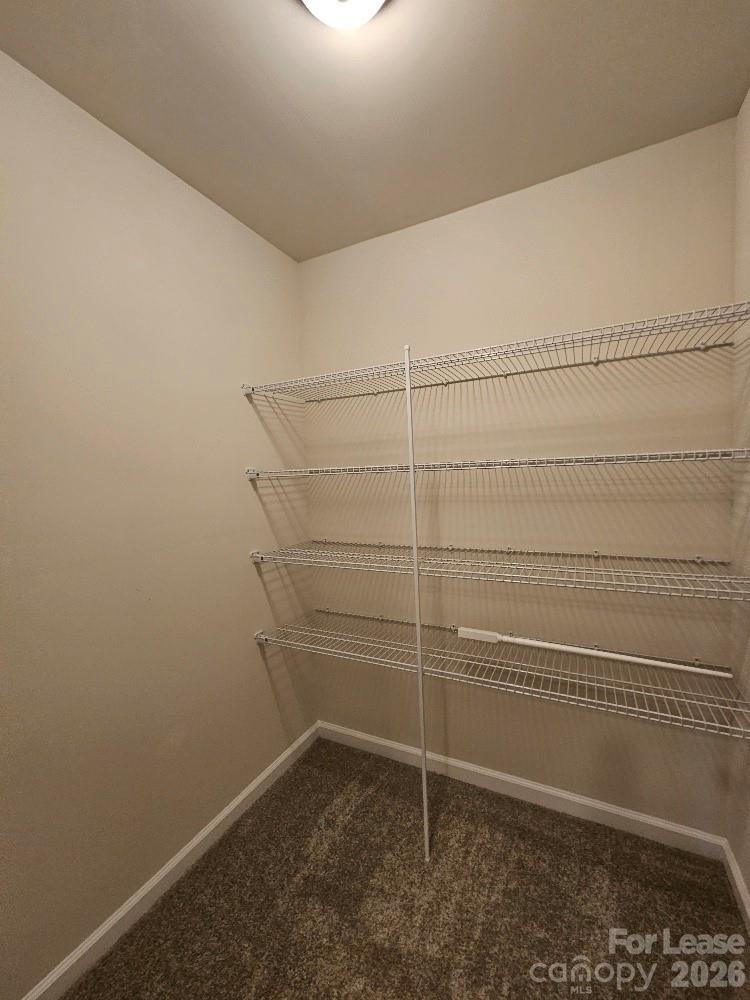 3108 Cheyney Park Drive - Photo 37