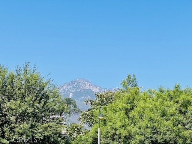 1254 Scenic View St - Photo 5