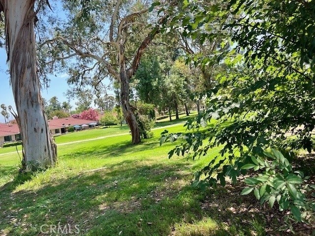 1254 Scenic View St - Photo 27
