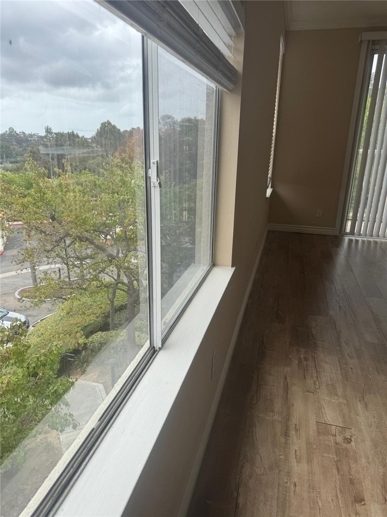 30902 Club House Drive - Photo 9