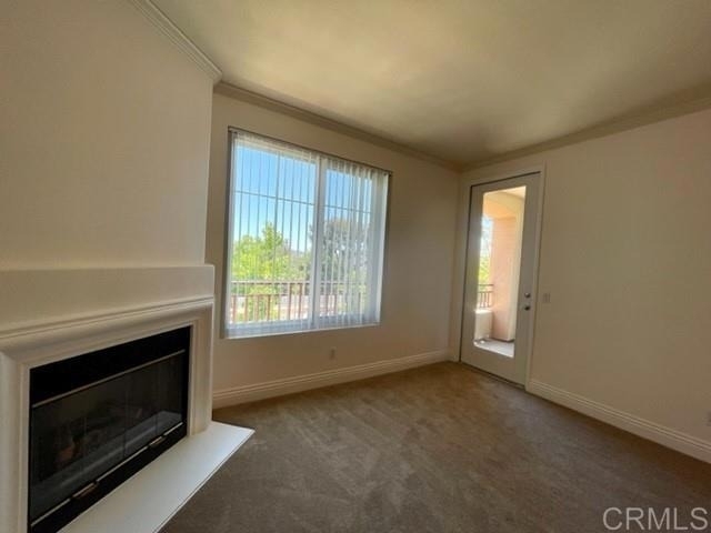 12372 Carmel Country Road - Photo 7